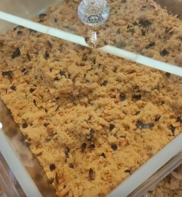 食品销毁公司
